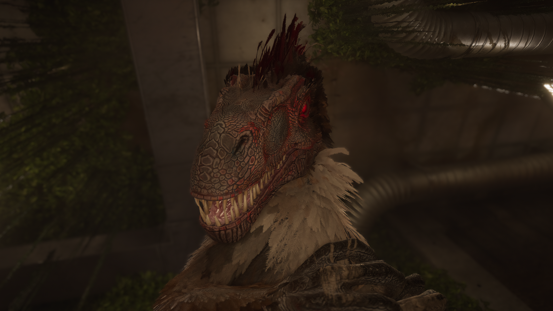 DG_Raptor_Close-up_001.png